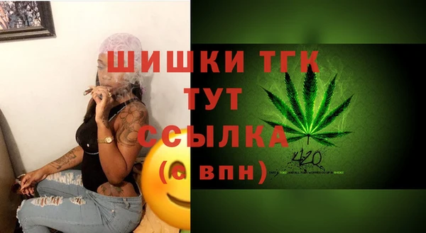 эйфоретик Пересвет