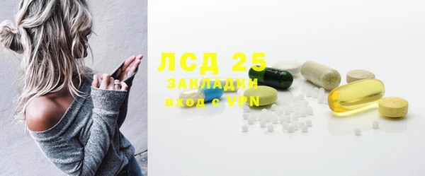 эйфоретик Пересвет