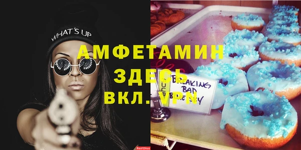 эйфоретик Пересвет